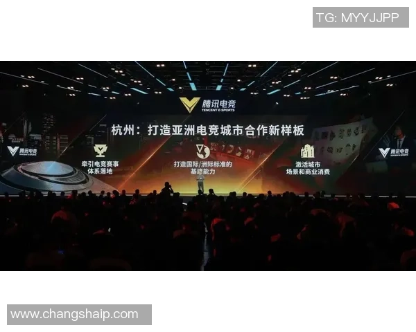 非凡娱乐资源整合助力行业创新与发展共赢新局面