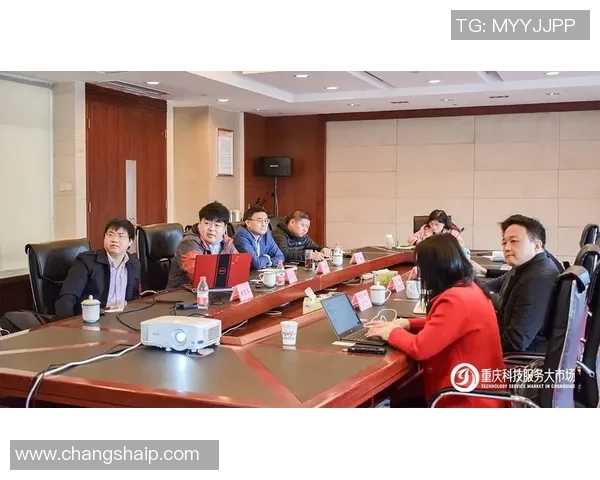 豪门国际合作伙伴风采展示与全球合作新篇章的共同探索与发展