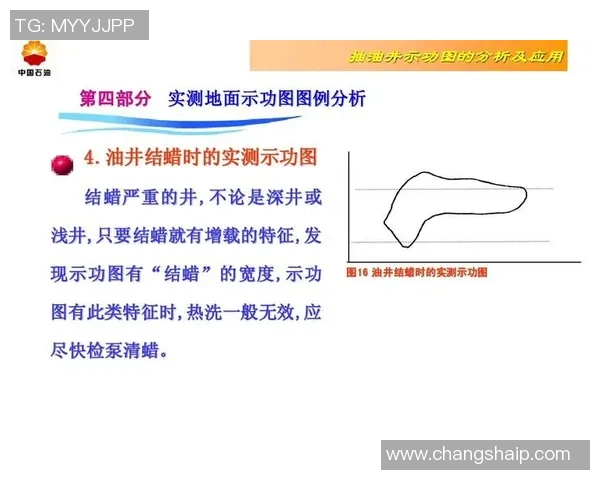 红桃国际特征工程的创新应用与实践探索分析